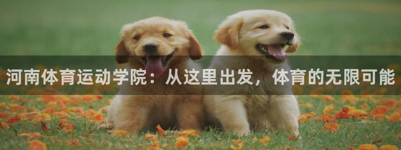 MK体育官网下载平台注册：河南体育运动学院：从这里出发，体育