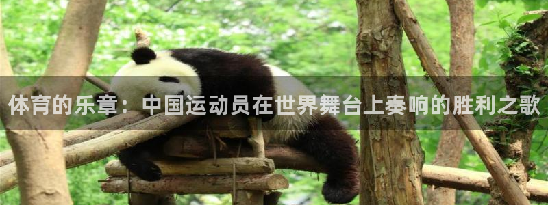 MK体育官方正版app集团官网首页网址：体育的乐章：