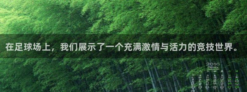 MK体育官网下载平台注册：在足球场上，我们展示了一个充满激情