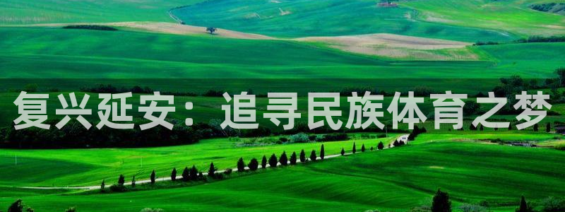 MK体育官网下载平台注册要钱吗安全吗：复兴延安：追寻