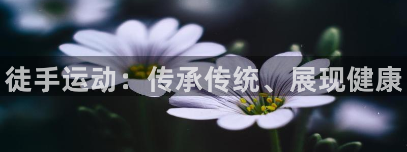 MK体育官方正版app娱乐40996：徒手运动：传承