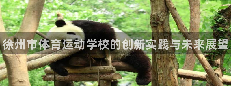 MK体育官方正版app娱乐首页官网下载：徐州市体育运