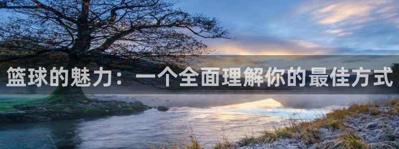 MK体育官网下载招商电话号码查询：篮球的魅力：一个全