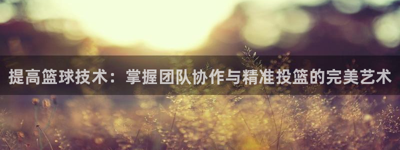 MK体育官方集团官网：提高篮球技术：掌握团队协作与精