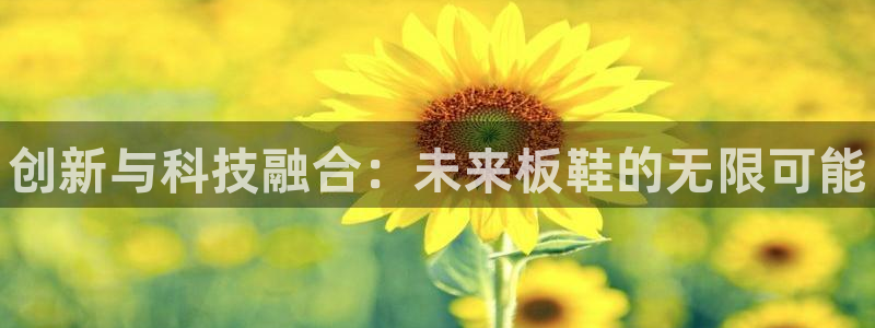 MK体育官方正版app集团简介：创新与科技融合：未来