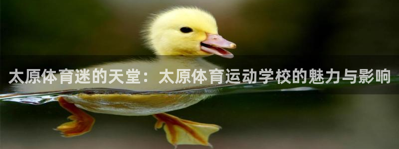 MK体育官方正版app娱乐40996：太原体育迷的天