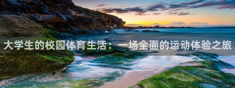 MK体育官网下载注册：大学生的校园体育生活：一场全面