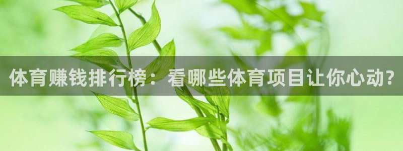 MK体育官网下载招商电话号码是多少：体育赚钱排行榜：