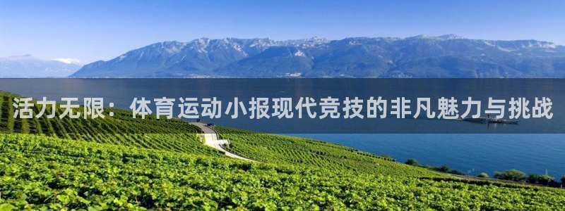 MK体育官网下载平台注册流程图：活力无限：体育运动小