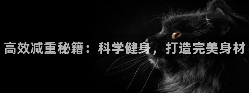 MK体育官方正版app官网：高效减重秘籍：科学健身，