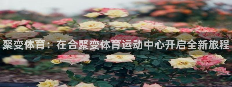 MK体育官网下载注册：聚变体育：在合聚变体育运动中心