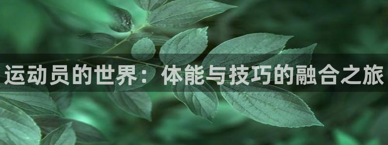 MK体育官网下载平台是正规平台吗安全吗