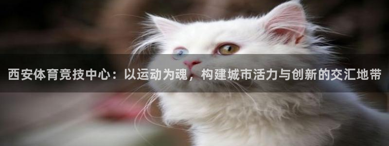 MK体育官方正版app新能源：西安体育竞技中心：以运