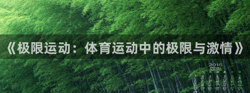 MK体育官方正版app娱乐代理怎么样：《极限运动：体育运动中