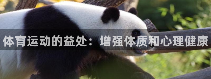 MK体育官网下载招商电话号码是多少号：体育运动的益处：增强体