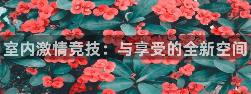 MK体育官方正版app官方：室内激情竞技：与享受的全新空间