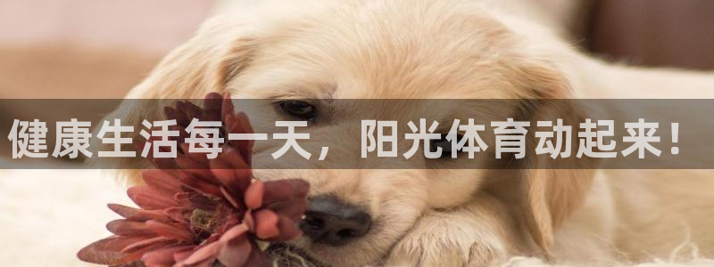 MK体育官方正版app科技：健康生活每一天，阳光体育