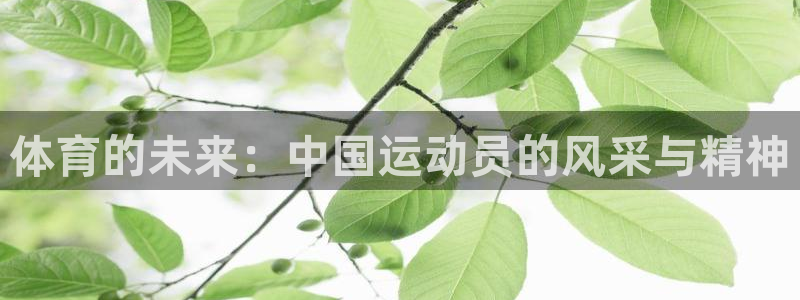 MK体育官网下载招商电话号码查询：体育的未来：中国运