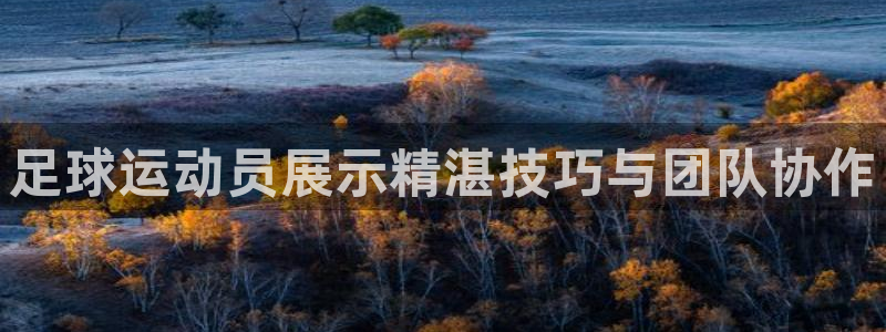 MK体育官方正版app娱乐：足球运动员展示精湛技巧与
