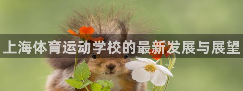 MK体育官网下载是干嘛的公司：上海体育运动学校的最新