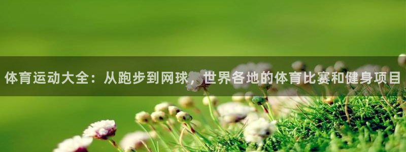 MK体育官方正版app神州：体育运动大全：从跑步到网球，世界