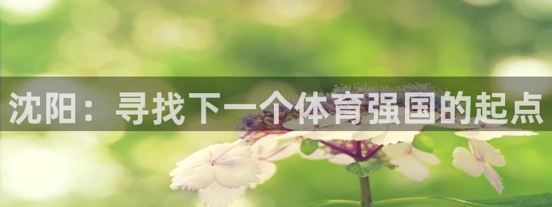 MK体育官方正版app集团：沈阳：寻找下一个体育强国的起点