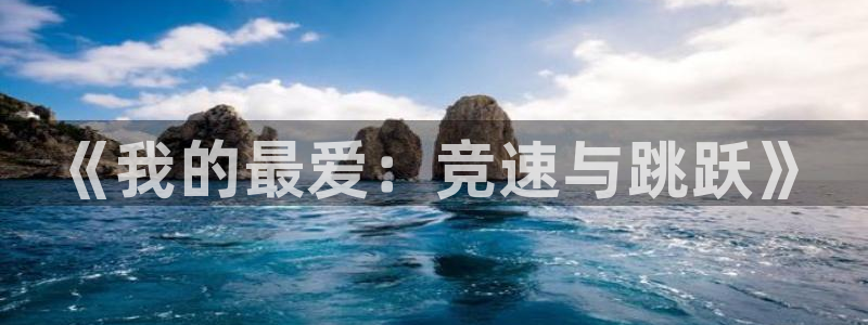 MK体育官方集团官网