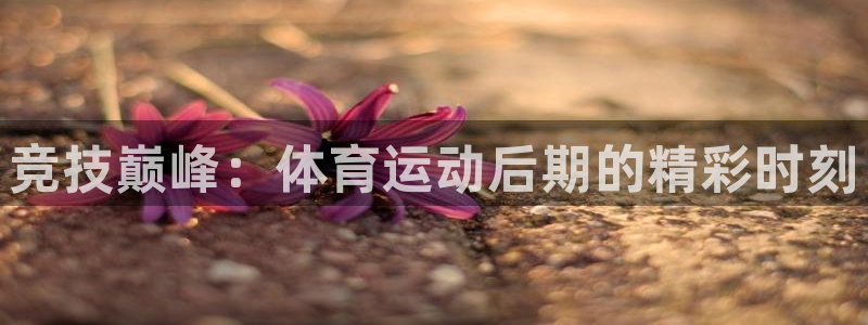 MK体育官网下载平台是正规平台吗安全吗：竞技巅峰：体育运动后