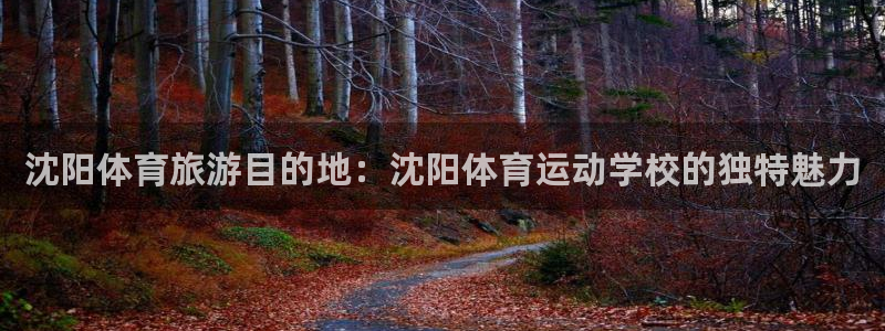 MK体育官网下载招商：沈阳体育旅游目的地：沈阳体育运动学校的