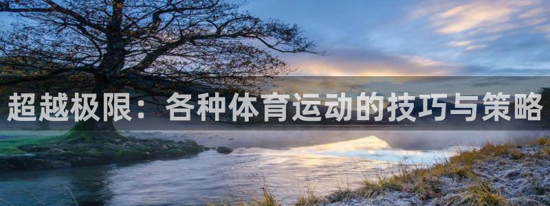 MK体育官网下载软件：超越极限：各种体育运动的技巧与策略