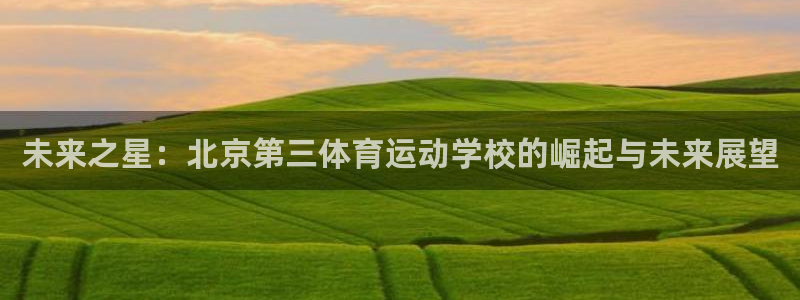 MK体育官网下载平台假的吗是真的吗吗：未来之星：北京