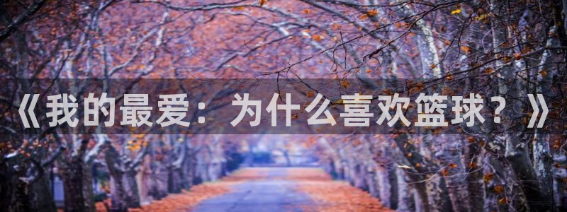 MK体育官网下载招商电话号码：《我的最爱：为什么喜欢