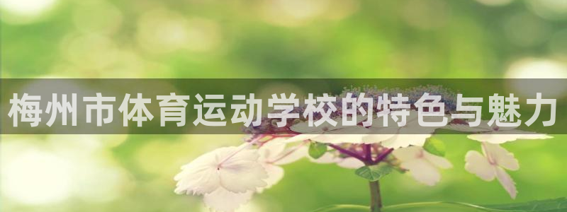 MK体育官网下载招商电话号码查询是多少：梅州市体育运动学校的